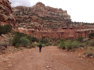 A quiet walk among the the red rocks in Capitol Reef National Park