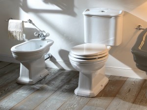 None of the bathrooms on my European travels 30 years ago were this nice, but you get the idea. Image from archiproducts.com