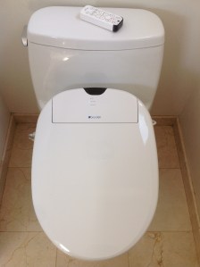 The Seat of Power in our house.