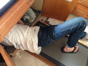 8E86AA07-6118-44B9-8B14-9CBD545D4152