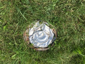 Look... a car patty!