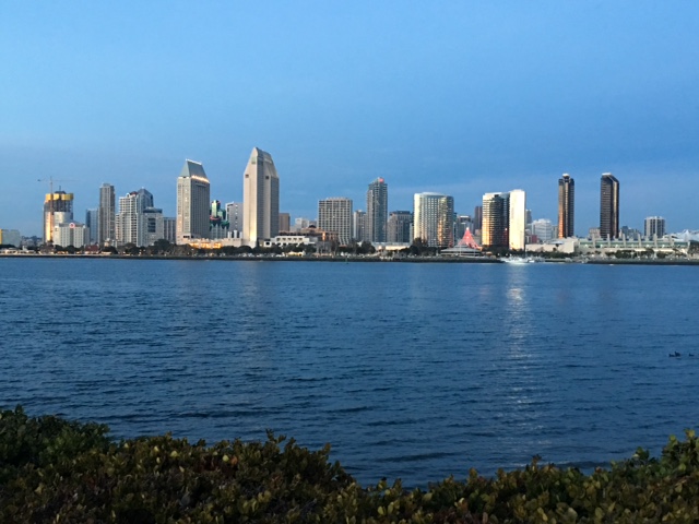 The view of downtown across San Diego Bay.